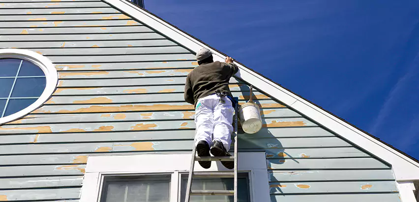 Professional Roof and Siding Repair Services in South Elgin, IL