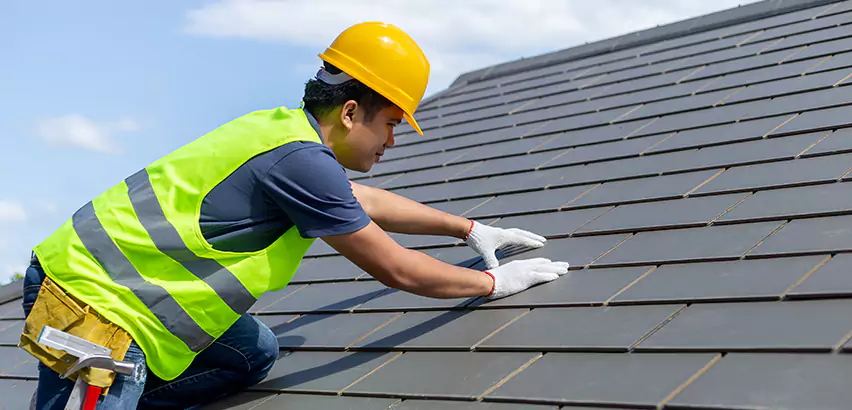 Dimensional Shingle Installation in South Elgin