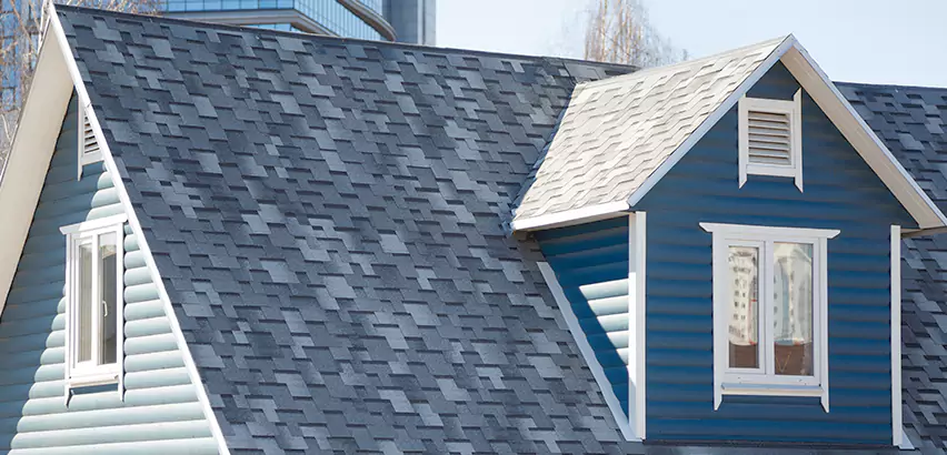 Shingle Roof Maintenance in South Elgin