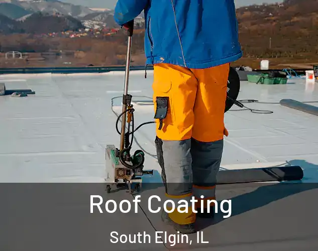  Roof Coating South Elgin, IL
