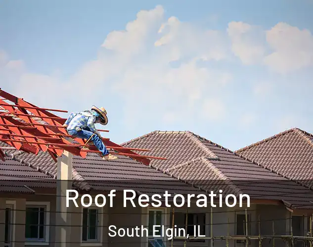  Roof Restoration South Elgin, IL