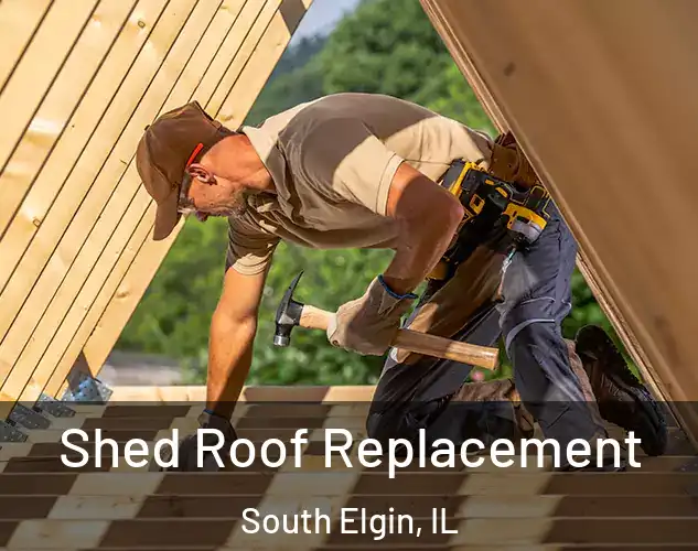  Shed Roof Replacement South Elgin, IL
